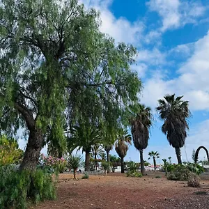 Marysol - Lovely Tenerife Sur Arona (Tenerife)